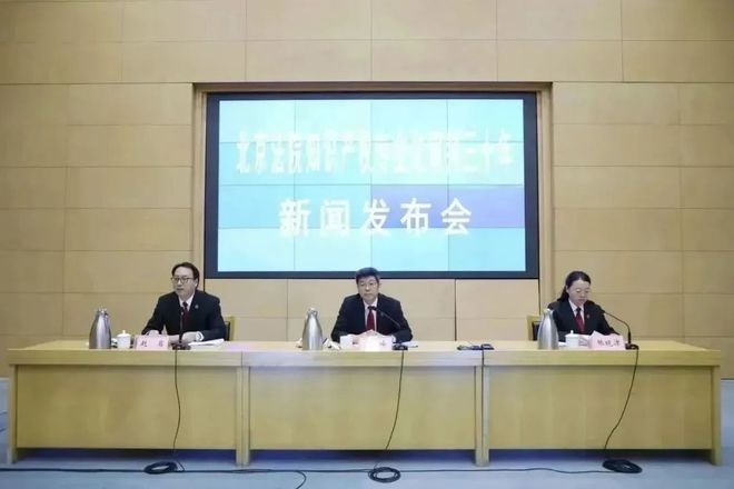 北京法院知识产权专业化审判三十年典型案例